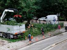 Treviso: scadenza il 4 dicembre per le richieste di risarcimento dei danni del maltempo di quest’estate