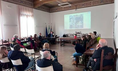 Zero Branco: il Comune vigila sulla “salute” degli alberi