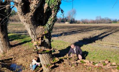 Monastier: l’originale presepe, diffuso e condiviso, nel viale dell’abbazia