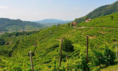 Turismo: convenzione tra i Comuni del Montello