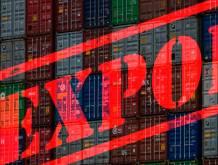 Treviso: Export in diminuzione