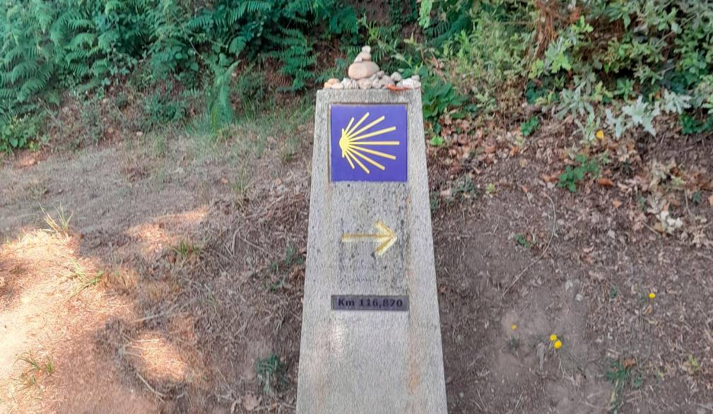 Condividere il cammino di Santiago