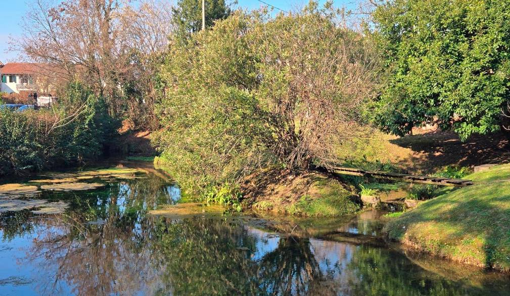 Il fiume Botteniga, a Treviso