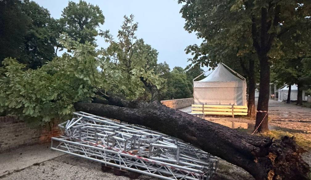 Tempesta sulla Marca: danni anche a Treviso
