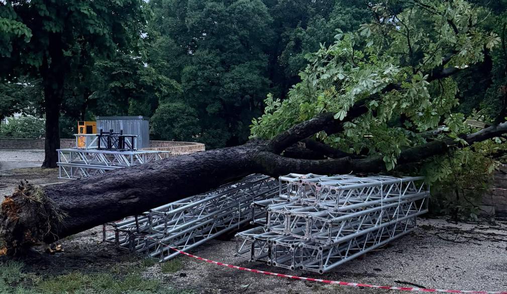Tempesta sulla Marca: danni anche a Treviso