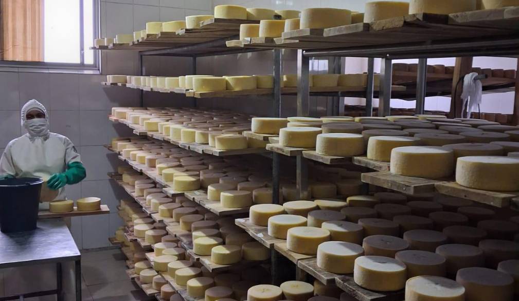 #getAltImage_v1($tempImage)