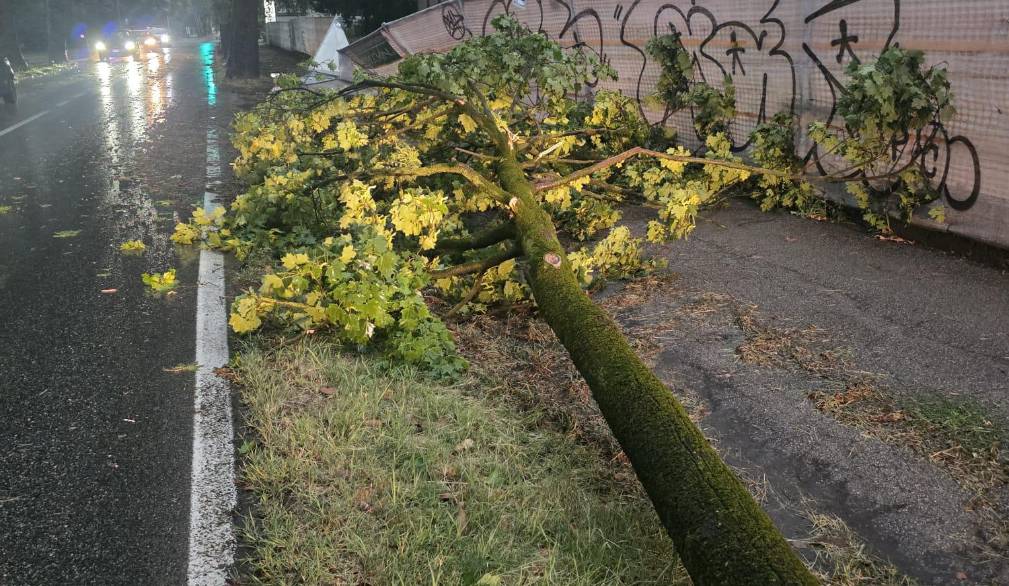 Tempesta sulla Marca: danni anche a Treviso
