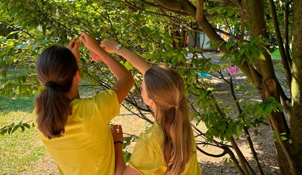 Vedelago, mille gru per la pace. Riuscita iniziativa con gli studenti di nove diverse classi