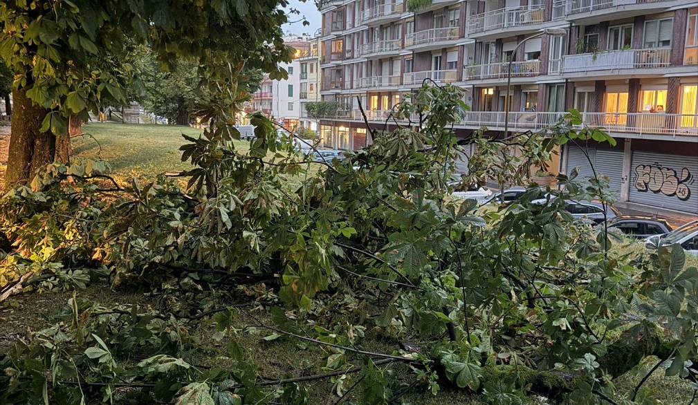 Tempesta sulla Marca: danni anche a Treviso