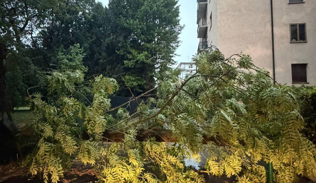 Tempesta sulla Marca: danni anche a Treviso