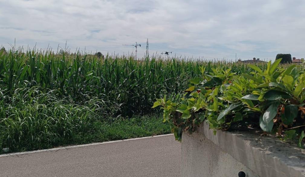 San Zenone: il drone misterioso che debutta in agricoltura