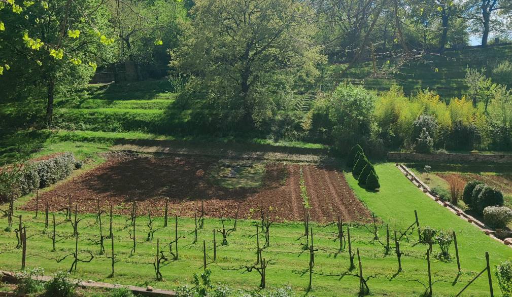 Con “Vita” in pellegrinaggio sui luoghi di san Francesco