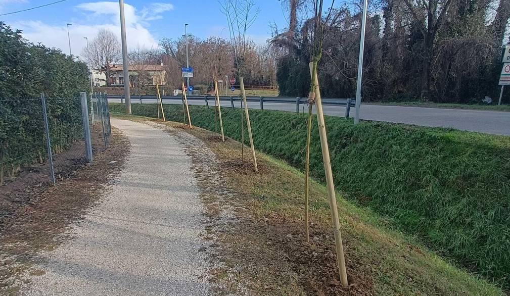 Quinto: novecento nuovi alberi piantati, coinvolti anche gli studenti