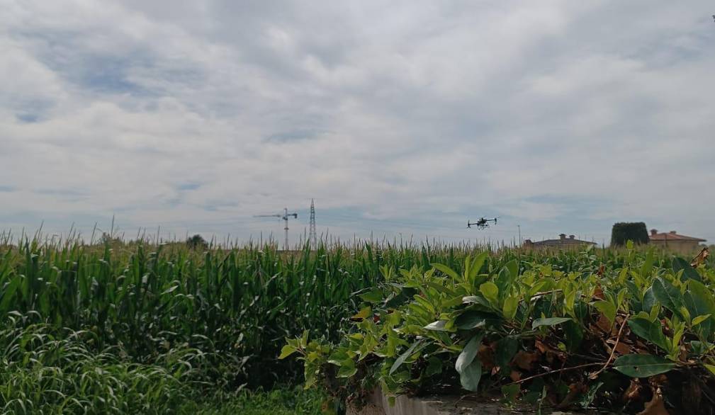 San Zenone: il drone misterioso che debutta in agricoltura