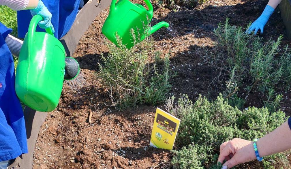 Asolo, orto didattico alla scuola primaria