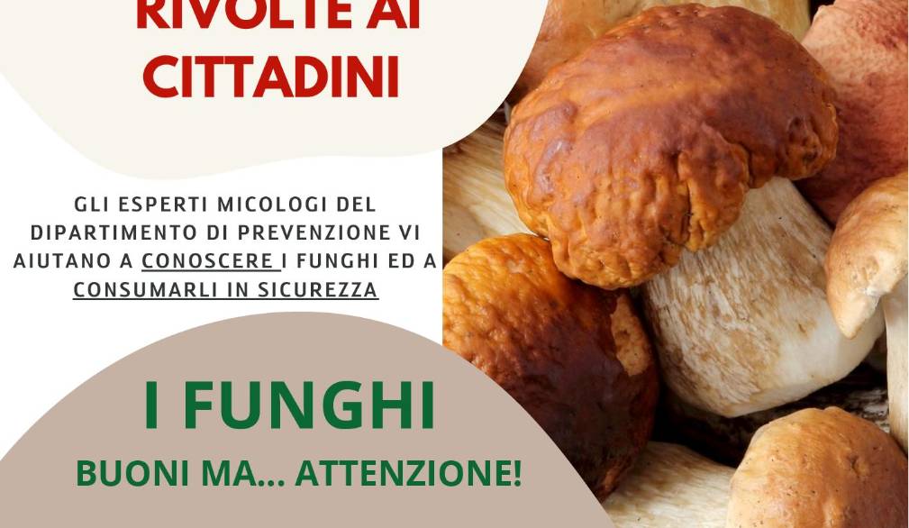 Incontri formativi da non perdere per conoscere i rischi dei funghi