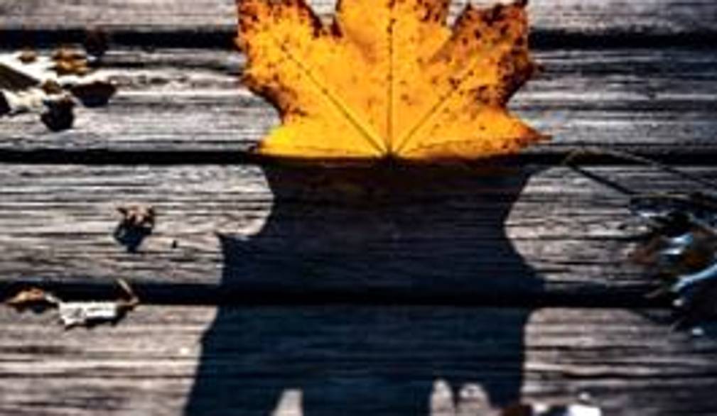 Mostra Bellezza svelata: “Attimo dilatato” (fotografia di Elena Carrer - Catena di Villorba)