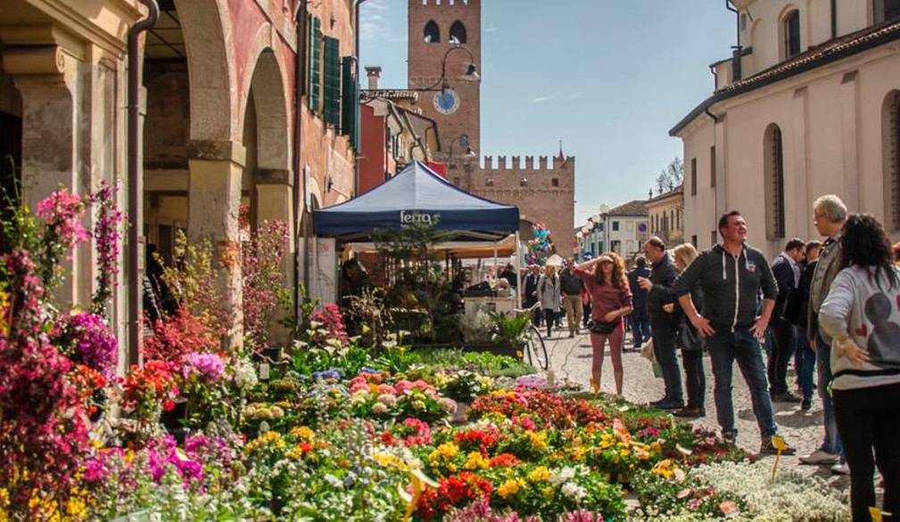 Domenica 12 aprile torna “NoaleinFiore”: a misura di famiglie
