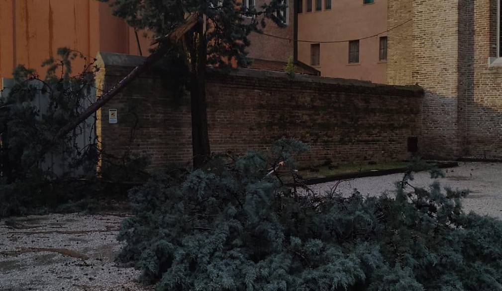 Tempesta sulla Marca: danni anche a Treviso
