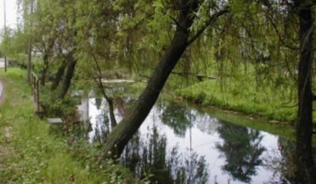 Le proposte dei quartieri si fanno strada: dalla Restera 2 per il Botteniga alla pista ciclabile per gli studenti