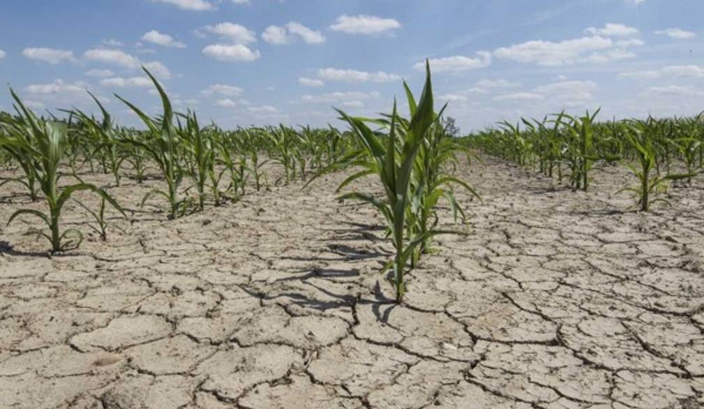 Siccità, i Coldiretti del Veneto chiedono più invasi