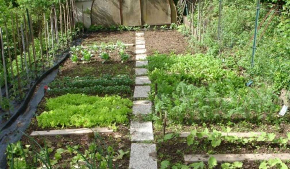 Vicariato di Asolo: Sos per gli orti solidali