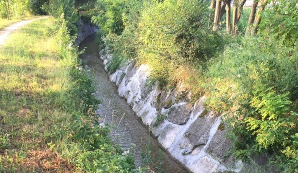 Inquinamento a San Zenone, sindaco indignato: moria di pesci nel torrente Roggia