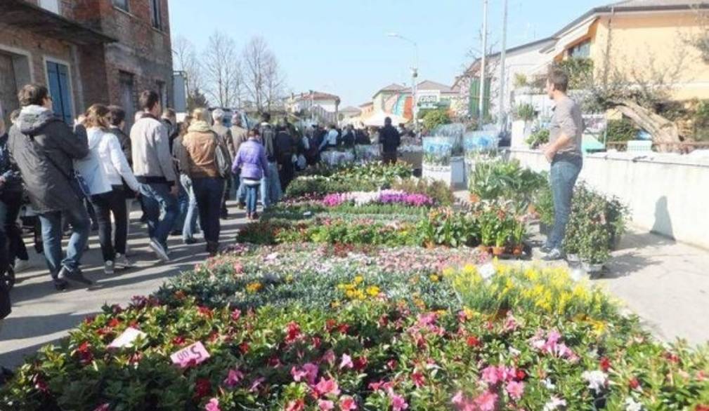 Florovivaismo: consumi interni in crescita, estero a rilento