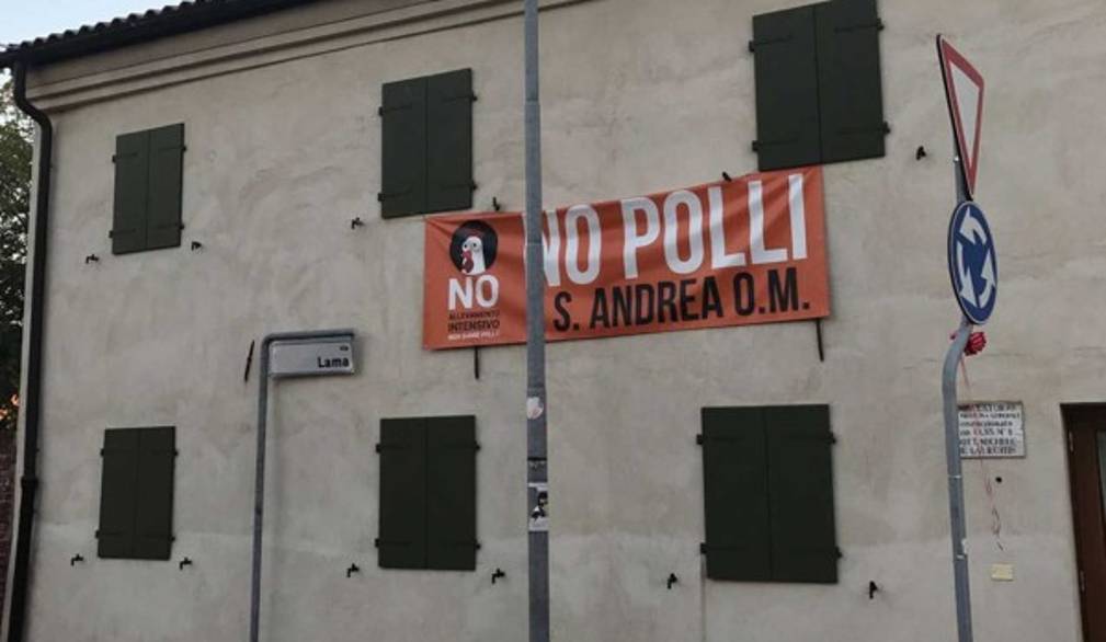 Zanoni (Pd) alla Regione: rischio aviaria, no all'allevamento di S. Andrea OM