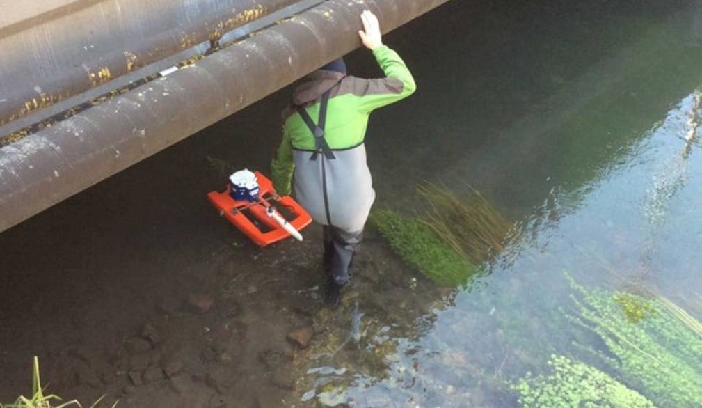 Conclusa l'asciutta, nei fiumi torna l'acqua del Piave