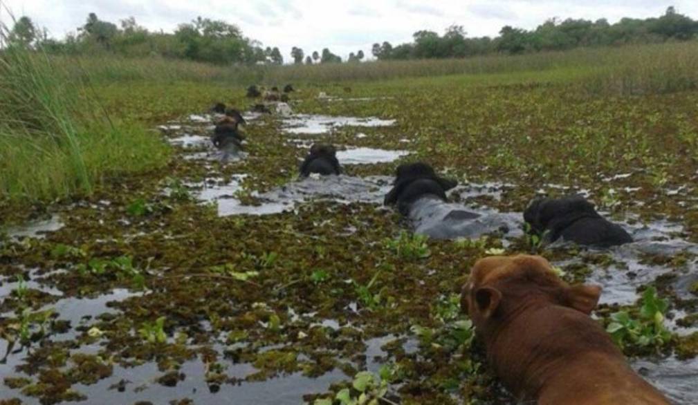 Paraguay: forti inondazioni dove vivono i nostri missionari
