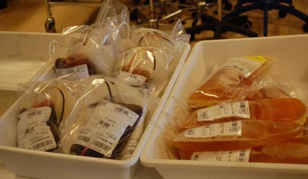 Serve più sangue, l'Avis Veneto si mobilita