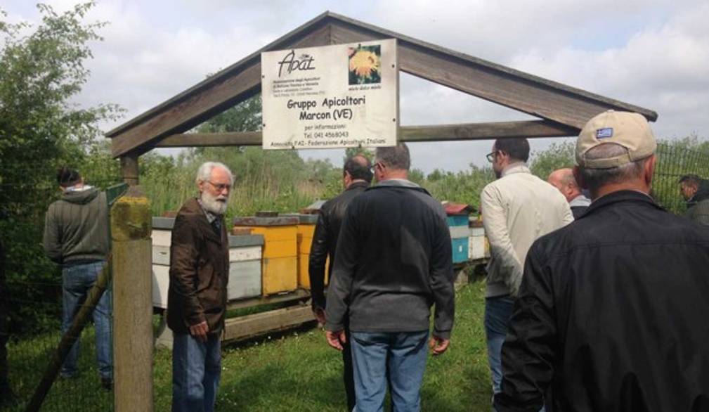 Apiario di Gaggio: convenzione tra il Comune e gli apicoltori