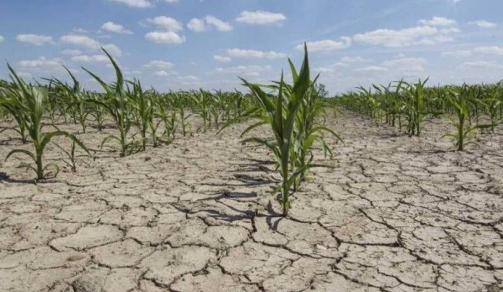 Siccità, Ats ai trevigiani: &quot;Usate l'acqua in modo parsimonioso&quot;