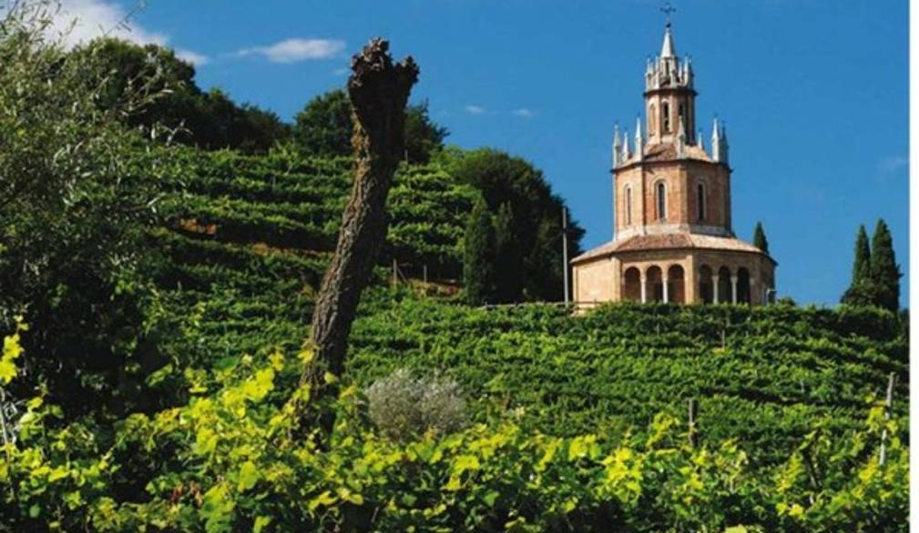 Prosecco e salute, le rassicurazioni di Benazzi