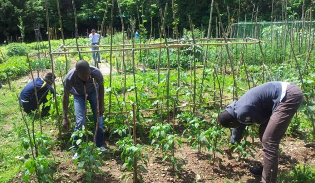 Rifugiati e volontariato, prove di comunità