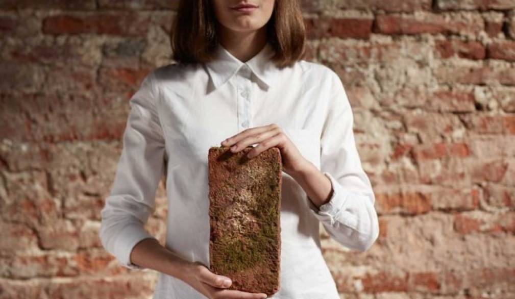 Mura di Castelfranco: il recupero "nelle nostre mani"