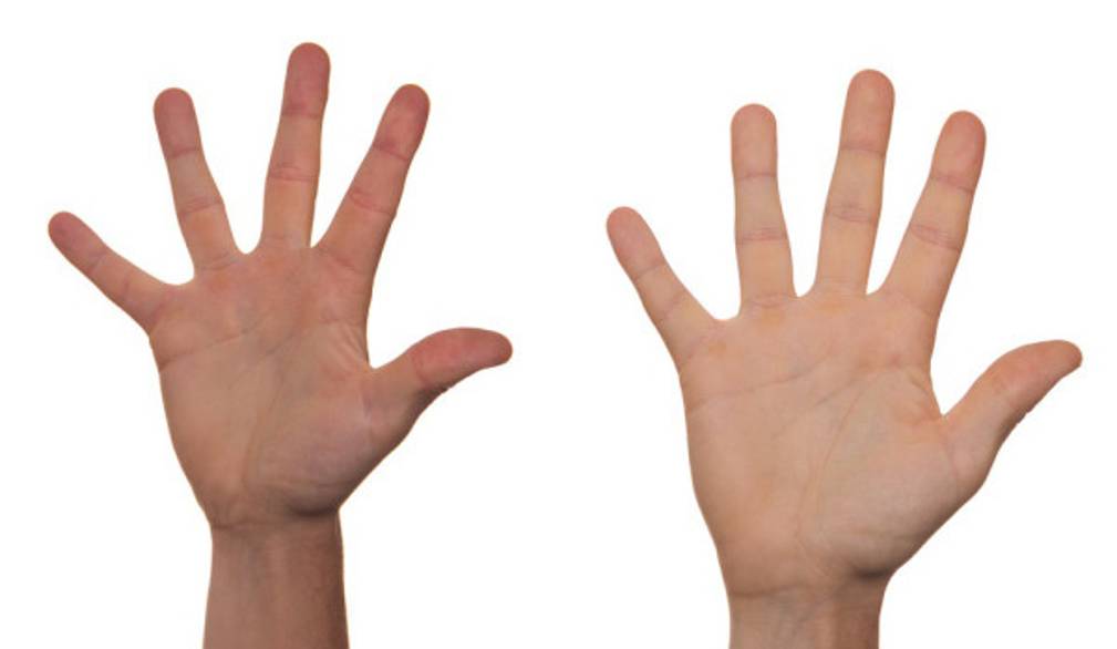 Una gioventù attiva: a Castelfranco nasce il Consiglio dei Ragazzi