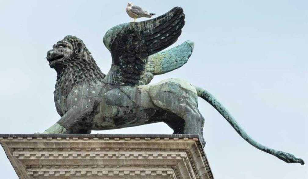 Storia veneta e dialetto: boom di iniziative nella Castellana