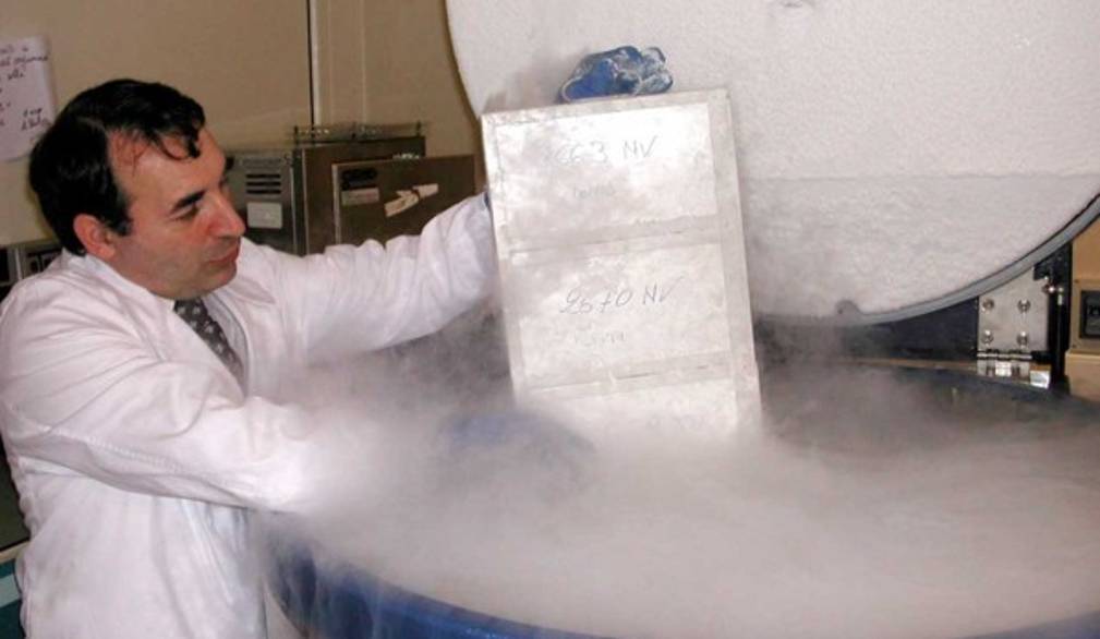 Banca dei tessuti al Ca' Foncello, 15 anni di record