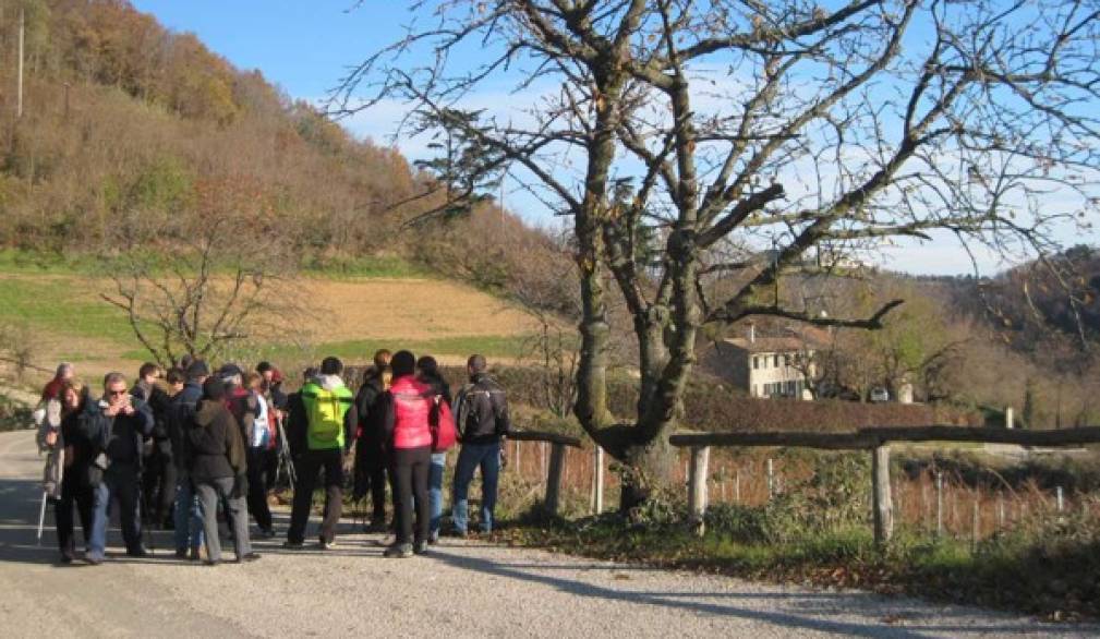 Domenica 11 dicembre in Veneto "Boschi a Natale": passeggiate in gruppo su prenotazione
