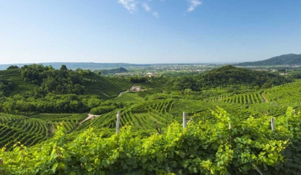 I distretti industriali tornano a crescere. E la Marca trevgiana è al primo posto con il prosecco