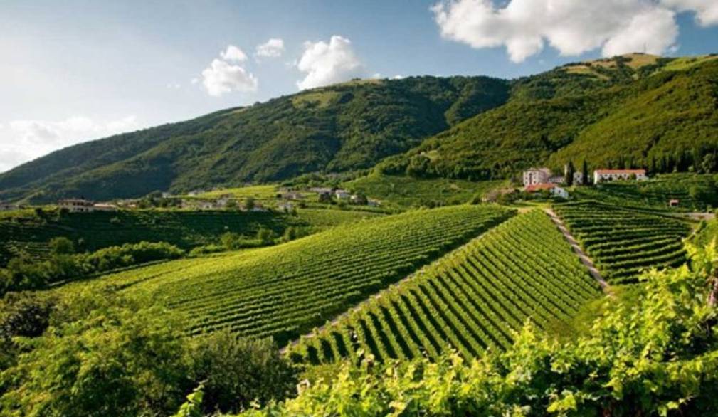 Colline del Prosecco e Unesco: ora c'è anche il via libera della Commissione