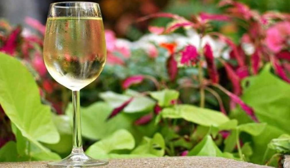 Vini veneti, export a livelli record