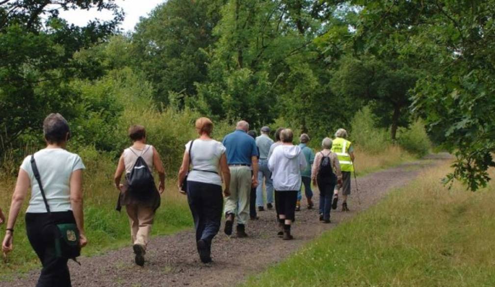 A Montebelluna d'estate si cammina!