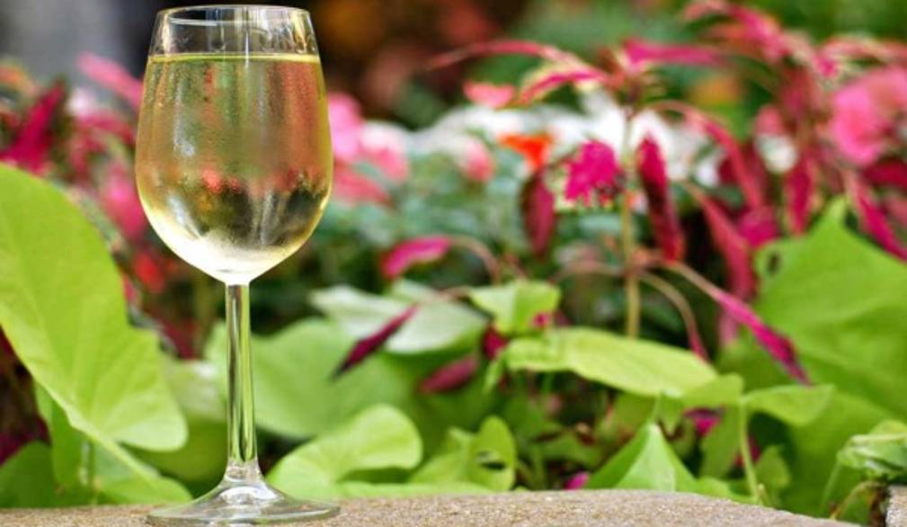 Pinot grigio, passo decisivo per la nuova "Doc delle Venezie"