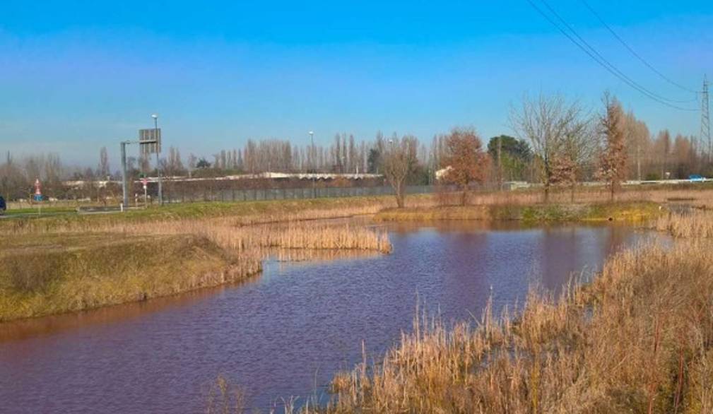 Mogliano Veneto, area umida Rio Rusteghin scelta per studio sperimentale