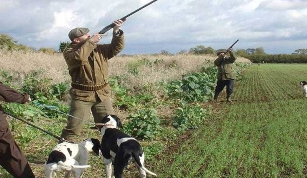 Regione: la Giunta approva il calendario venatorio