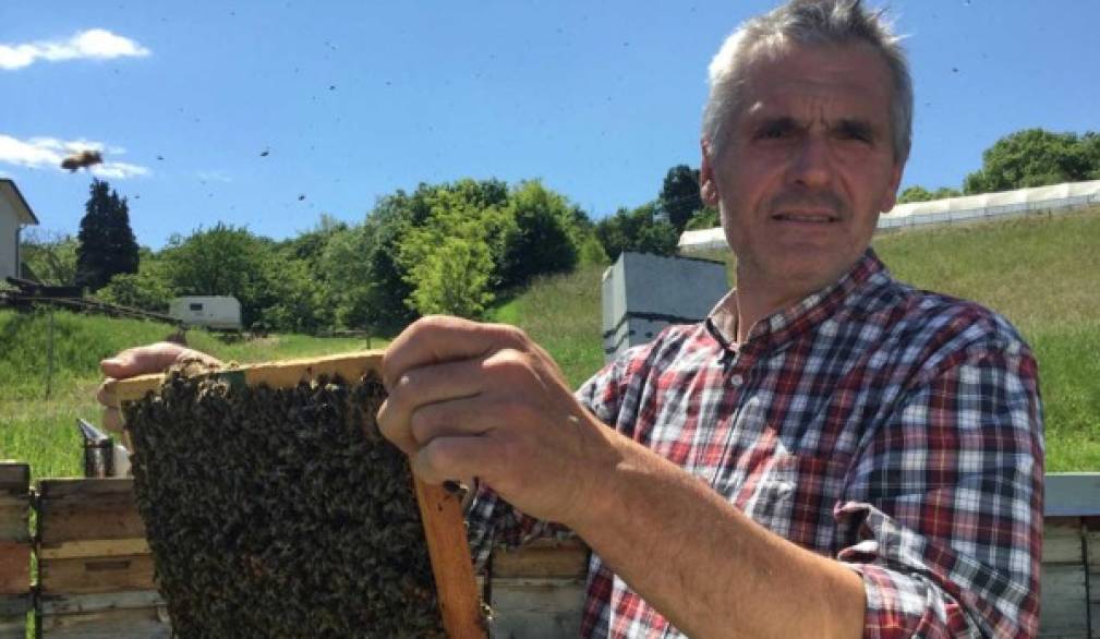 L'apicoltura del Montello vale 300 ettari di prosecco