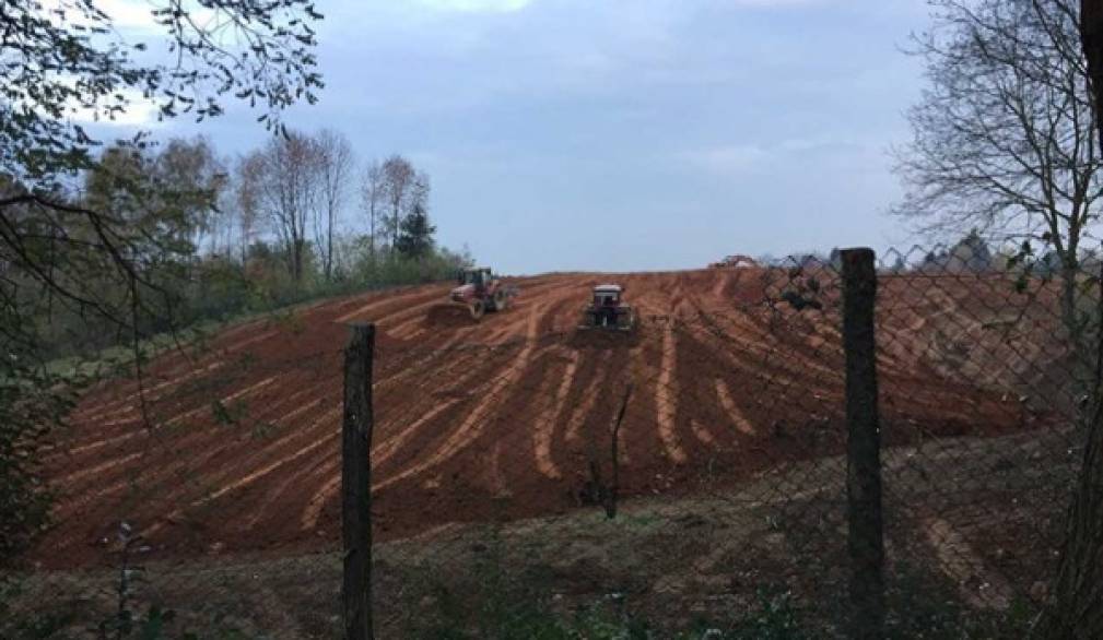 Zanoni denuncia: si rovina il Montello per piantare prosecco ovunque